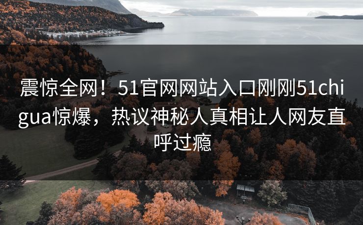 震惊全网！51官网网站入口刚刚51chigua惊爆，热议神秘人真相让人网友直呼过瘾